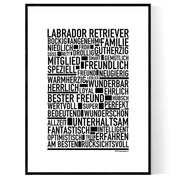 Labrador Retriever Poster