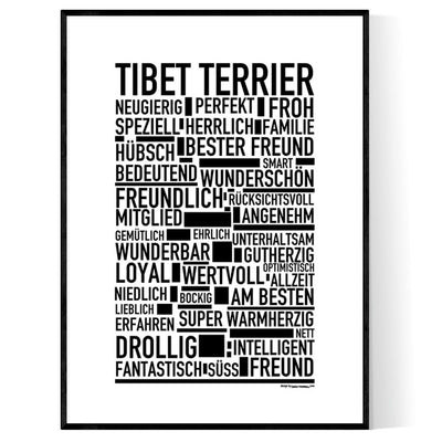 Tibet Terrier Poster