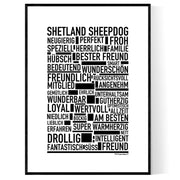 Shetland Sheepdog Poster