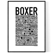 Boxer Poster