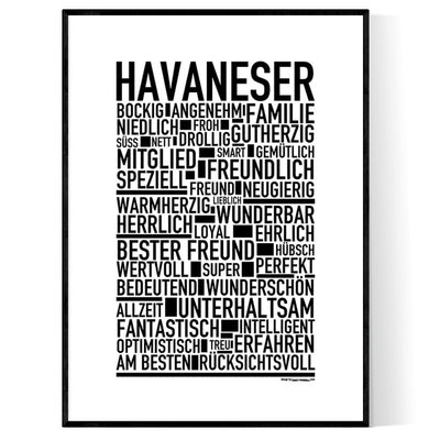Havaneser Poster