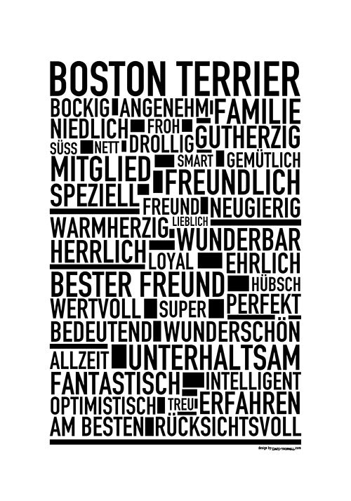 Boston Terrier Poster