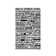 Engelsk Springer Spaniel Swedish Poster