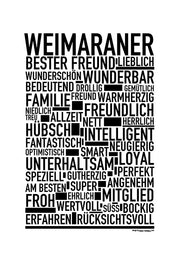 Weimaraner Poster