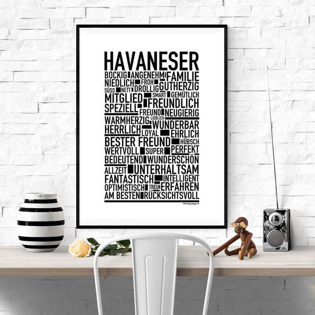 Havaneser Poster