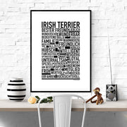 Irish Terrier Poster
