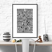 Border Terrier Poster