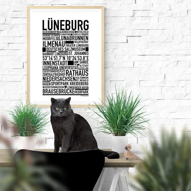 Lüneburg Poster