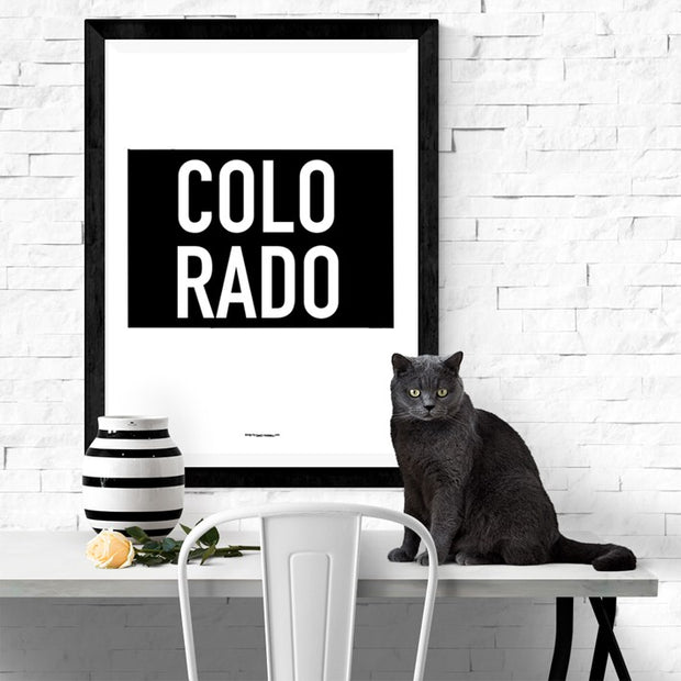 State Of Colorado Poster