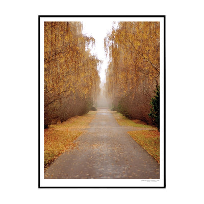 Autumn Road Poster