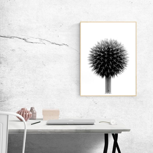 Ball Plant Poster
