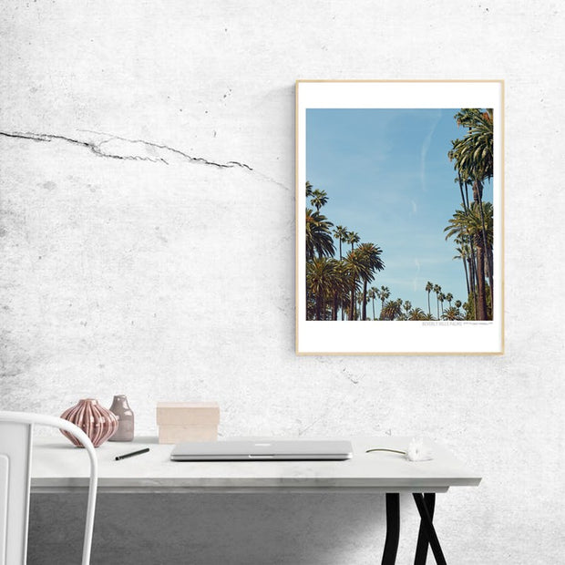 Beverly Hills Palms Poster