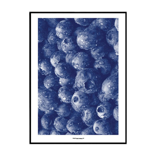 Blueberries Poster