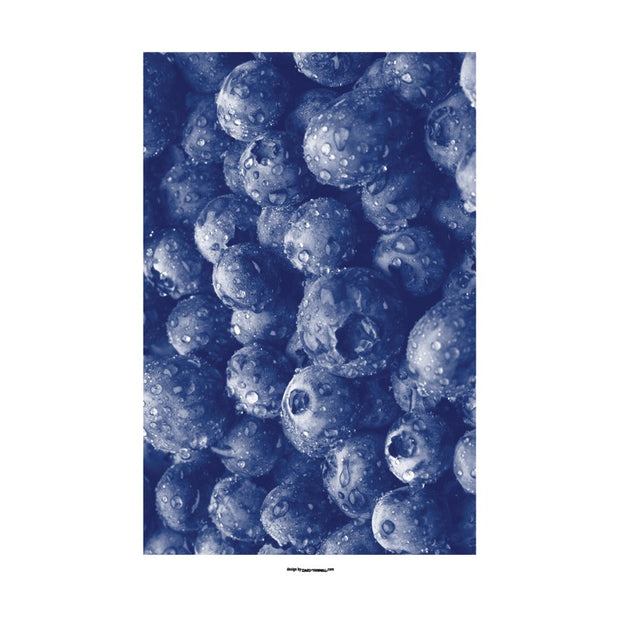 Blueberries Poster