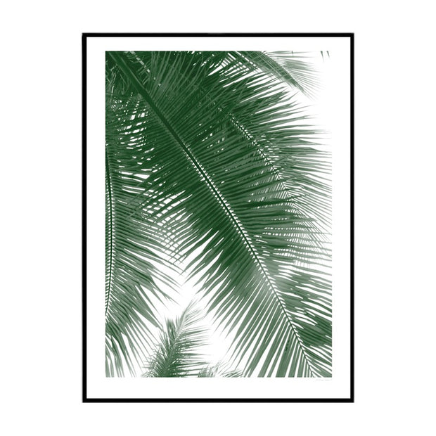 Miami Palms Poster