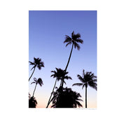 Ocean Drive Palms Poster