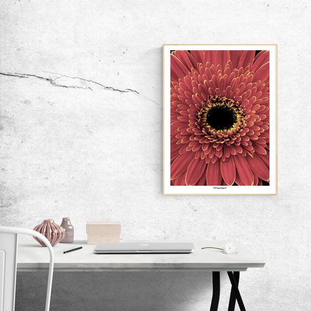 Red Blossom Poster